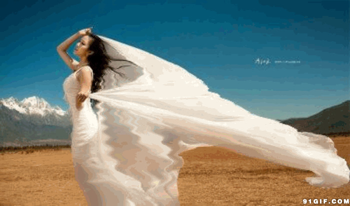 沙漠婚纱照图片:沙漠,婚纱照