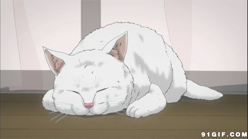 卡通猫猫睡觉图片