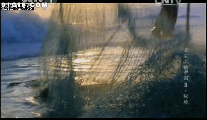 渔网抓鱼视频图片:渔网,抓鱼