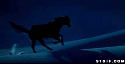 黑夜中奔跑的马图片