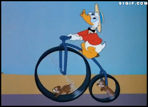 卡通鸭子骑车图片:卡通,鸭子,骑车