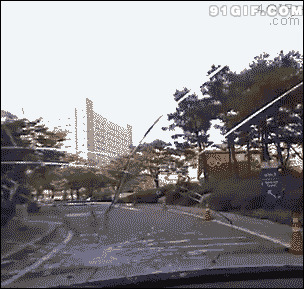 牛人头撞车玻璃图片:牛人,撞车