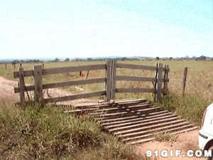 牛人自制栏杆门图片