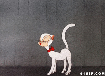 卡通猫猫走路恶搞图片:卡通,猫猫