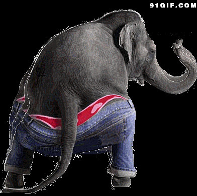 卡通大象扭屁股动态图片:卡通,大象,扭屁股
