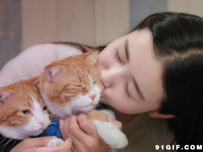 美女亲吻宠物猫动态图片