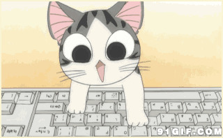 卡通猫猫打键盘图片