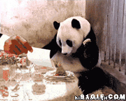 熊猫吃大餐动态图片