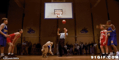 狗狗投篮球动态图片:狗狗,投篮球