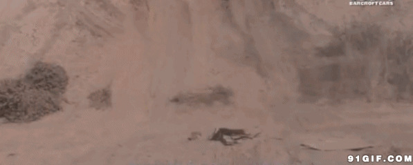 沙漠跑车图片