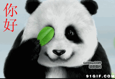 大熊猫向你问好图片