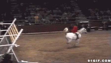 骑白马跳障碍动态图片