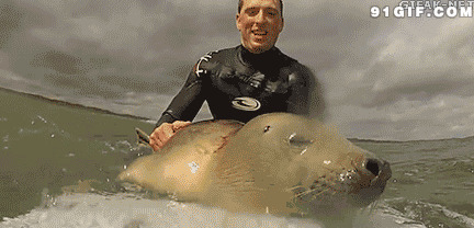 潜水员和海豹搞笑动态图片:潜水员,海豹,