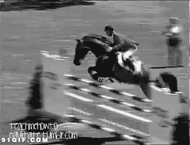 骑马跳障碍比赛图片:骑马,跳障碍,图片