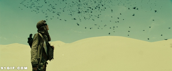 走在沙漠里的人物看见一群小鸟搞笑动态图片
