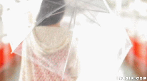 打太阳的美女动态图片:美女,打伞