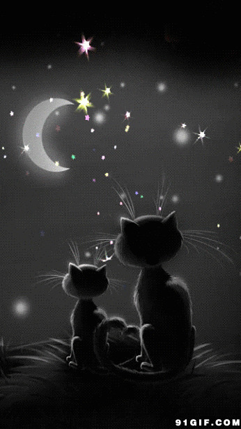 卡通猫猫看星星图片