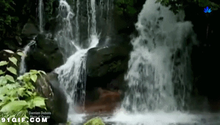 高山中的流水瀑布动态图片