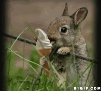 兔子吃雪糕动态图片