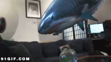 卡通鲨鱼吓猫猫搞笑动态图片