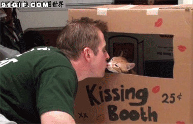 帅哥与猫猫亲吻动态图片