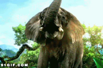 大象gif动态图片:大象,
