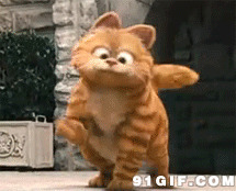 超萌的加菲猫图片:加菲猫,动漫