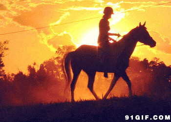 黄昏落日骑马动态图片