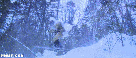 滑雪橇动态图片