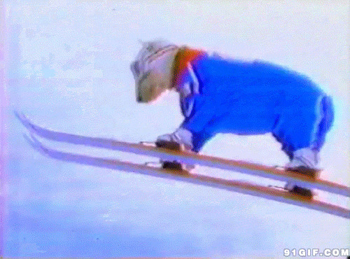 会滑雪的狗狗图片:狗