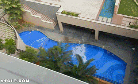 外国黑人从房顶跳下游泳池搞笑动态图片