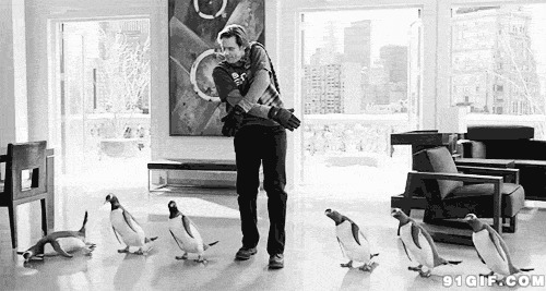 国外帅哥教企鹅跳舞图片:企鹅,跳舞,