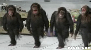 大猩猩跳舞的故事图片:大猩猩,跳舞,