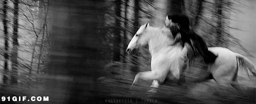 树林里骑白马的人物搞笑动态图片