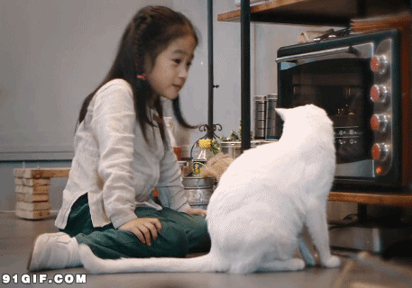 小女孩和小白猫 搞笑动态图片