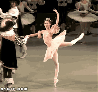 天芭蕾舞的欧美美女搞笑动态图片