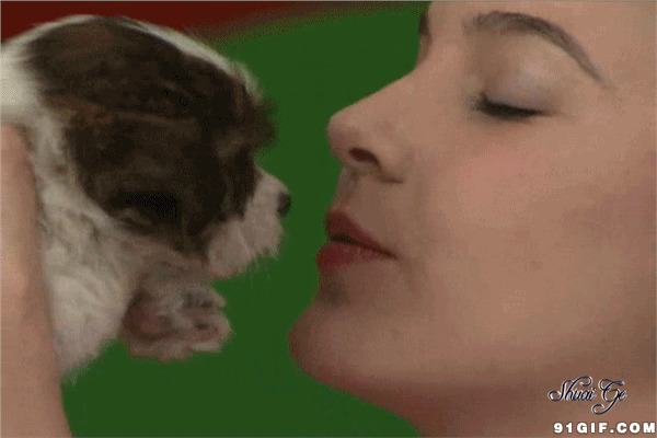 美女亲吻宠物狗图片:美女亲吻宠物狗图片