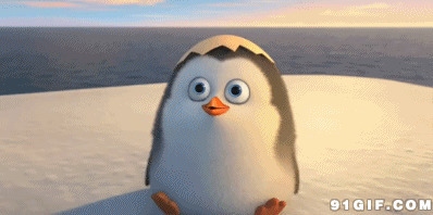 卡通可爱小企鹅图片:企鹅