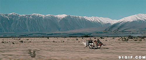 沙漠之中狂奔的马儿图片:沙漠之中,狂奔的马儿