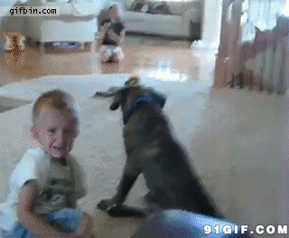 恶搞的狗狗坐在小孩头上图片