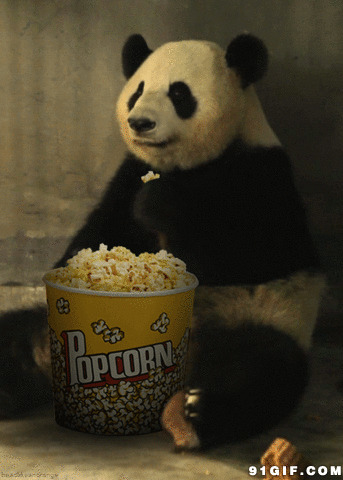 大熊猫吃爆米花图片