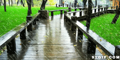雨水冲洗栈桥图片:下雨