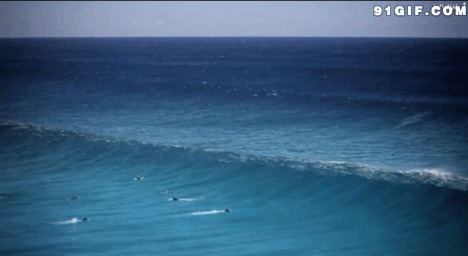 大海卷起的海浪图片