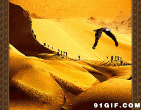 沙漠飞鹰图片