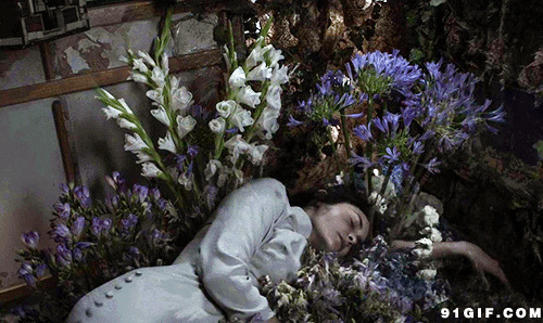 美女躺在疯长的鲜花上图片