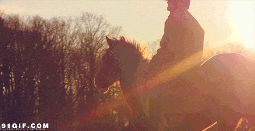 骑着马的骑师图片