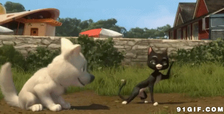卡通白狗黑猫打架图片:卡通白狗黑猫,打架