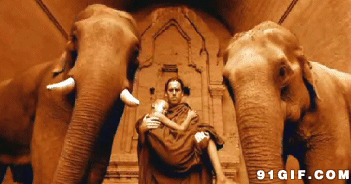 大象守护的王国图片