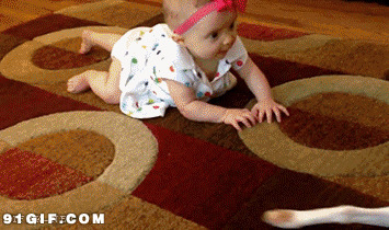 小白狗与婴儿玩耍图片:狗