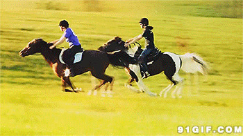 草原赛马飞奔图片:骑马